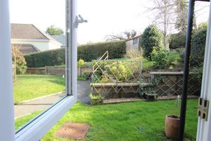 Communal Gardens- click for photo gallery